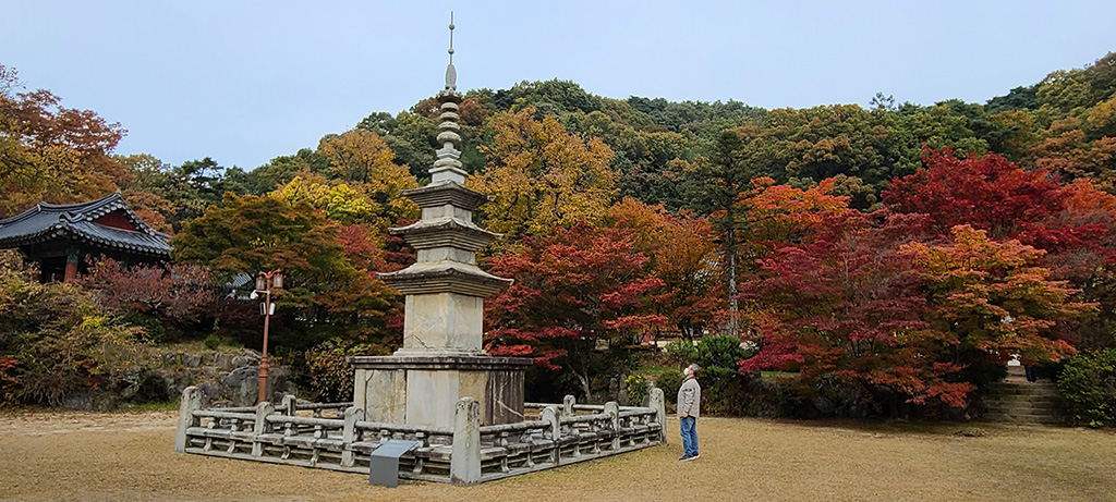 직지(直指)