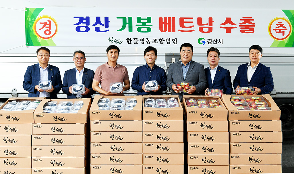 경산 거봉, 올해 첫 베트남 수출… 1천200㎏ 선적