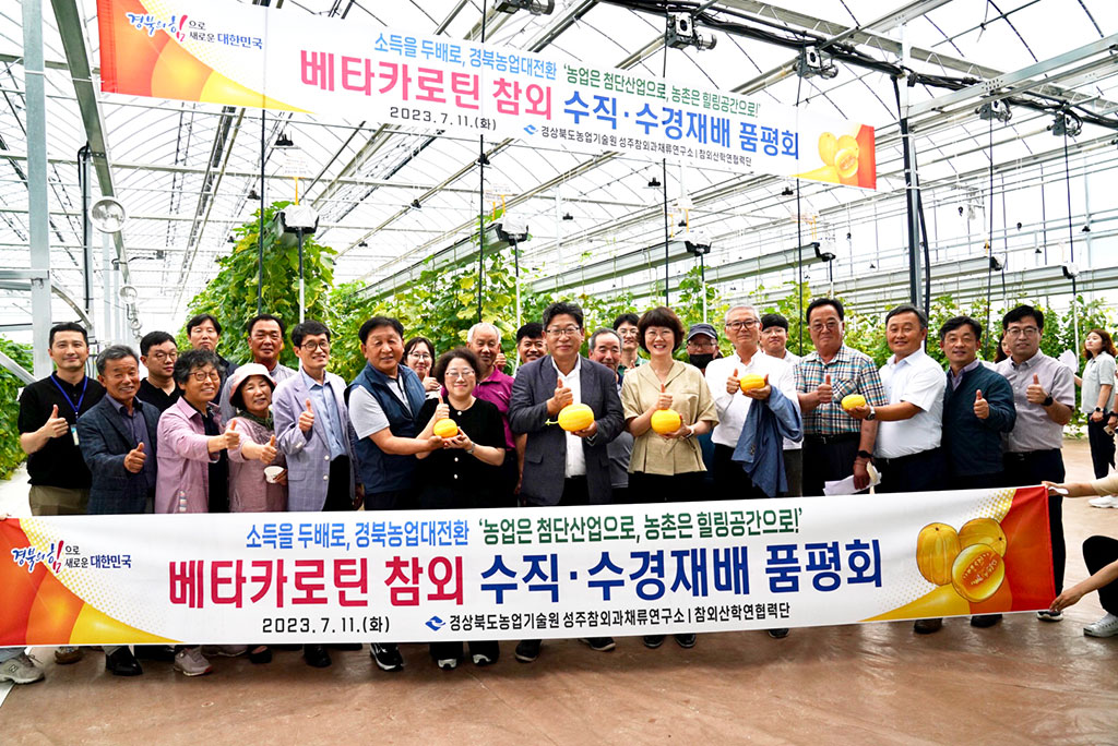 베타카로틴 참외 수직·수경재배 기술 개발