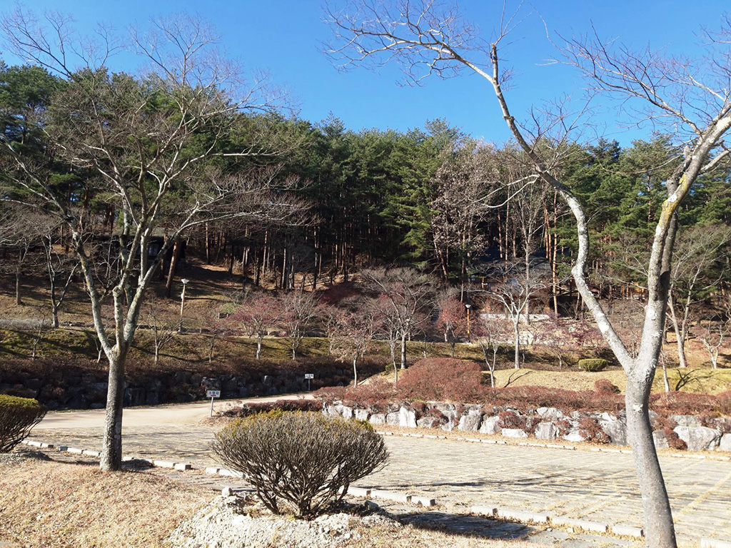 편안한 힐링의 공간 울진 구수곡 휴양림