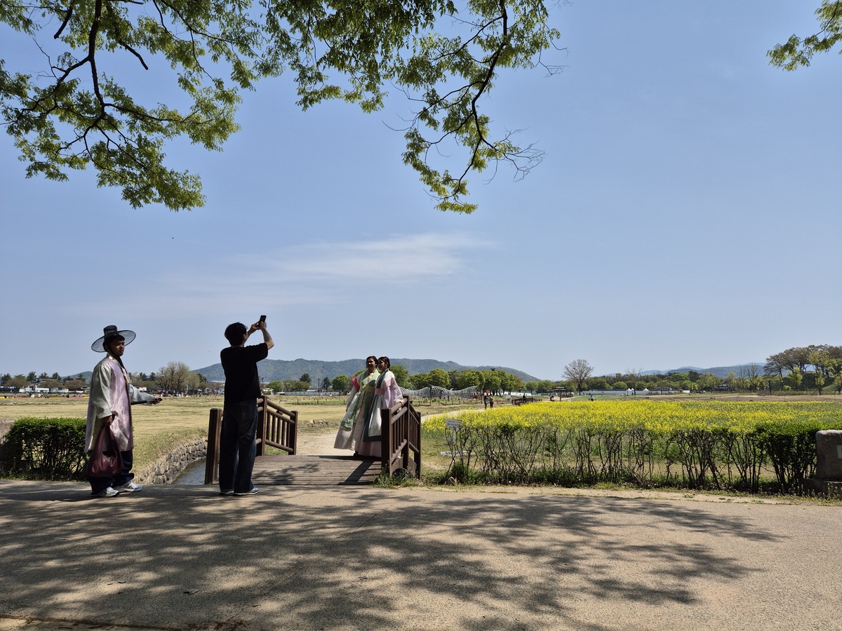 왕실 숲, 천 년의 그늘에서 놀다