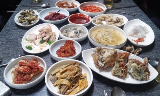 다찌·통술·실비 어떤 점이 같고 다를까