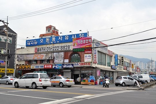 40년 만에 드러내는 회원천…공사 진행은?