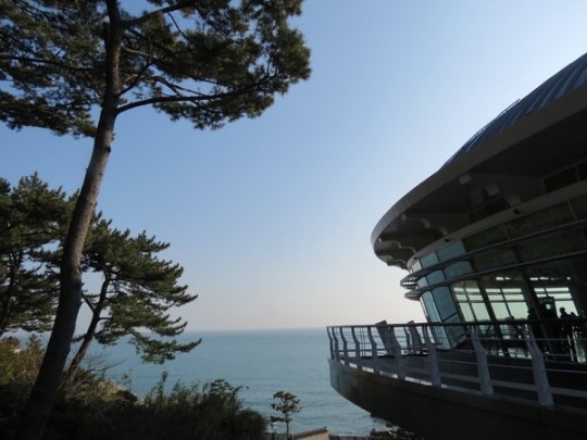 한겨울 붉디붉은 동백을 여기서 만났다