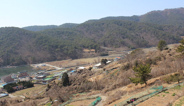 불어난 냇물에 징검다리 나타나게 한 선비의 글