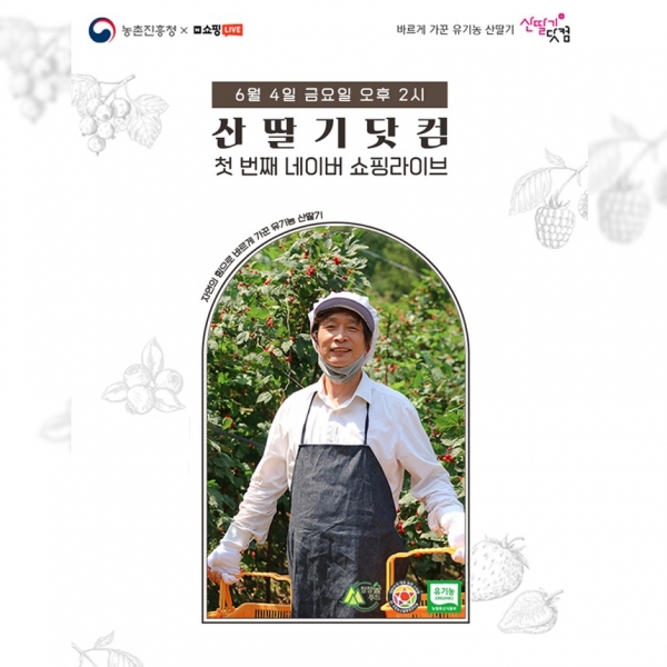 김해 산딸기, 생방송 판매로 소비자 겨냥