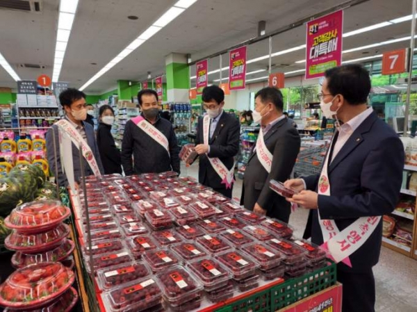 김해 산딸기, 영남권 탑마트서할인행사