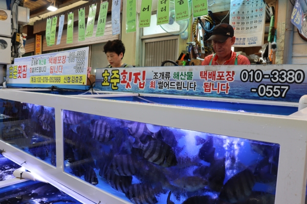 나고 자란 남해 품에서 회 뜨며 세상을 배웠죠