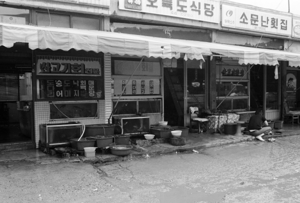 [창원공단의 기억] 공장 밖 마산서 낭만과 청춘 보냈던 근대화 기수들