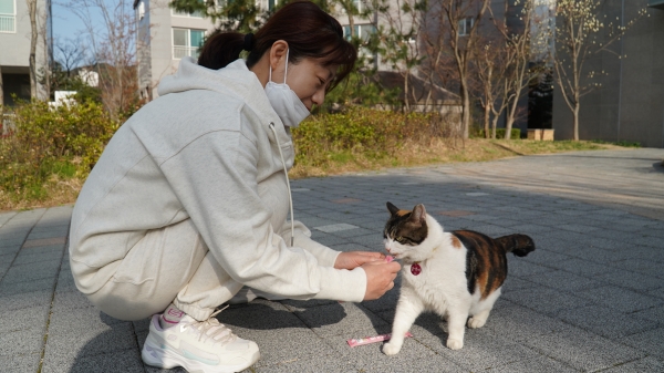 고양이랑 더불어 사는 삶을 택한 아파트