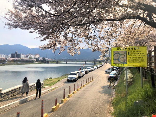 돌아온 벚꽃 계절, 색다른 명소 찾고 있다면 여기 어때요