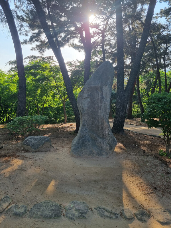 [생각해봅시다] 김해 구지봉 의미 없는 돌, 문화재 오인 문제