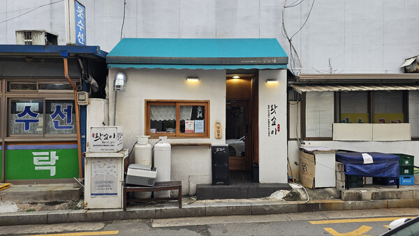 [사니다] 거창 지키는 일본 아지매 4인방, 받은만큼 갚아야죠