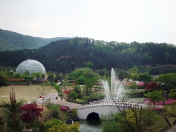 봄꽃의 대향연 시작된 금강수목원
