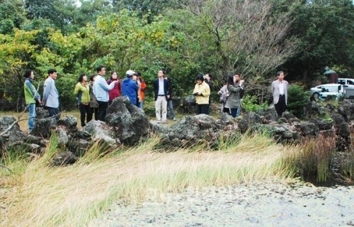환경부 실사단, 제주 ‘동백동산’ 현장조사 실시