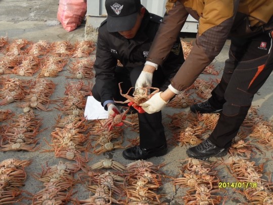 울산해경, 수산자원 파괴사범 검거