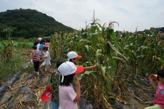 북한산국립공원 생태나누리 사업 운영
