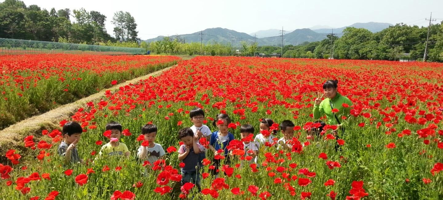 함양군 ‘상림 꽃단지’ 조성 추진