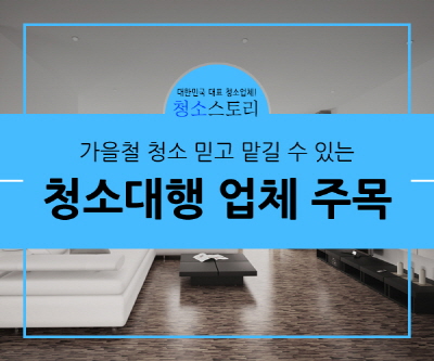 가을철 청소 맡길 수 있는 청소 대행 전문 업체 주목