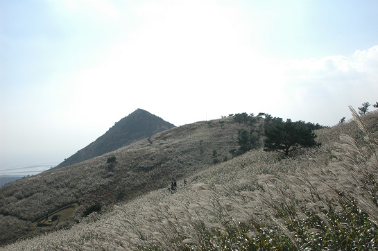 부산시, 승학산 방화추정 산불 헬기동원 신속진화