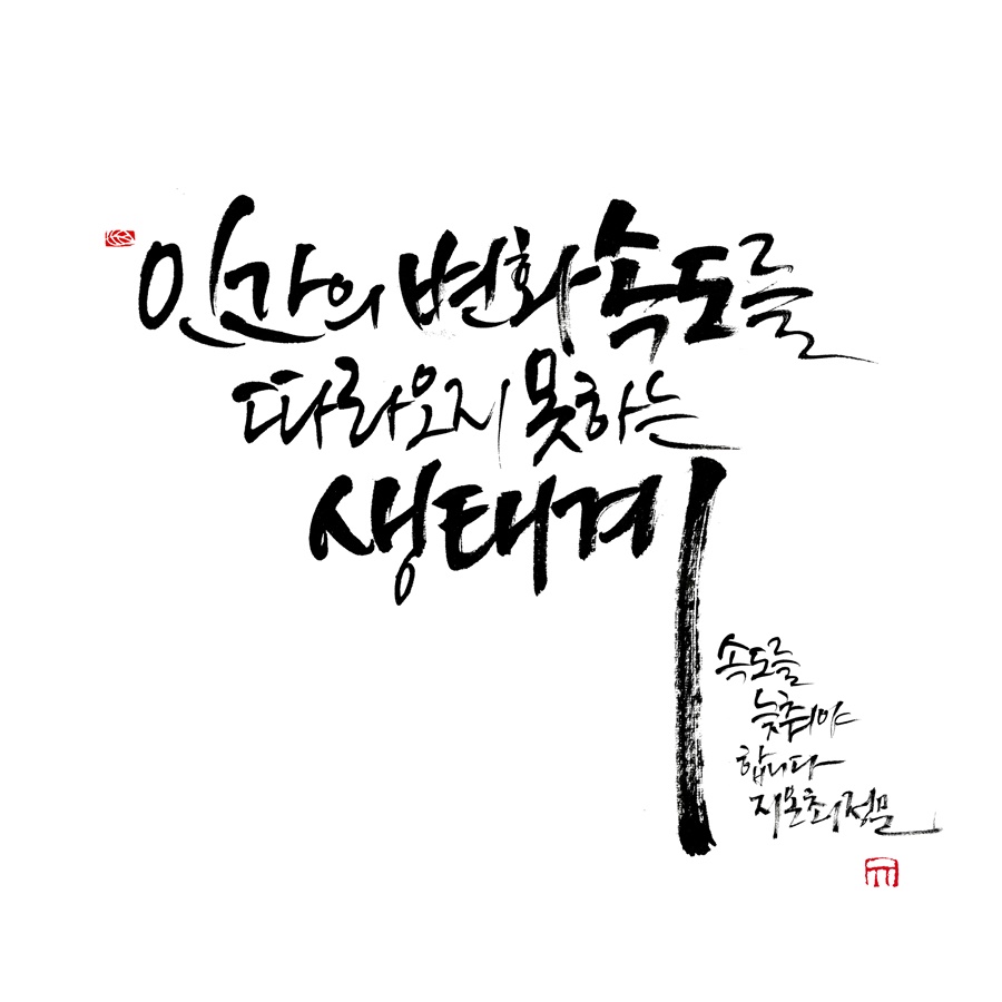 [Eco Point] 같이 걷는 지구