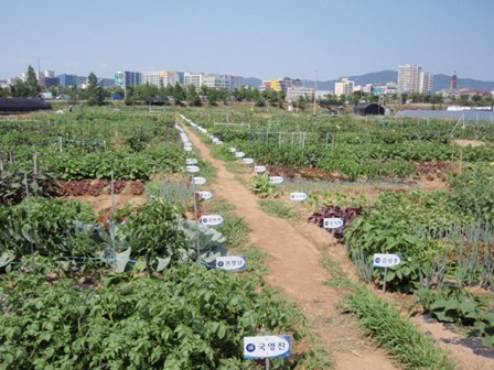 성남시민농원 실버텃밭  무료 분양
