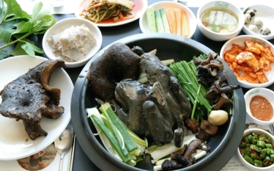 [맛집데이트]고양 원가든 능이버섯 백숙