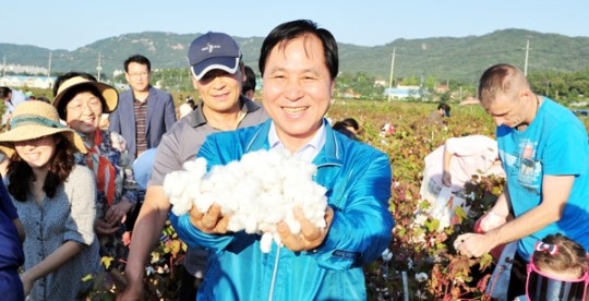 섬유패션도시 양주 알린다… 목화솜 관광자원 활용