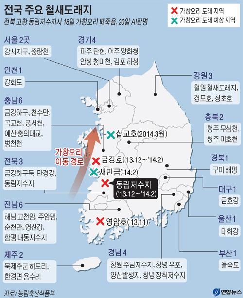 AI 야생 철새가 옮겨 전국 확산 비상