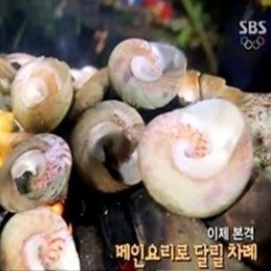 정글의 법칙 병만족 4종 만찬, 장어에 고둥구이까지… 침 고이네