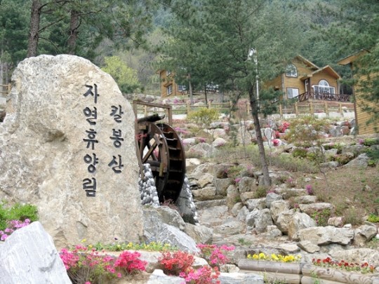 맑은 물ㆍ깨끗한 자연 생태천국 가평으로 GO GO!
