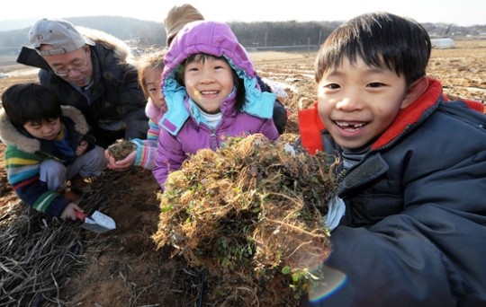 꽁꽁 언 땅 뚫고 나온 자연의 보약… 더 맛있게 즐겨요!