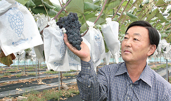 끊임없는 연구로… 믿을 수 있는 농산물 생산