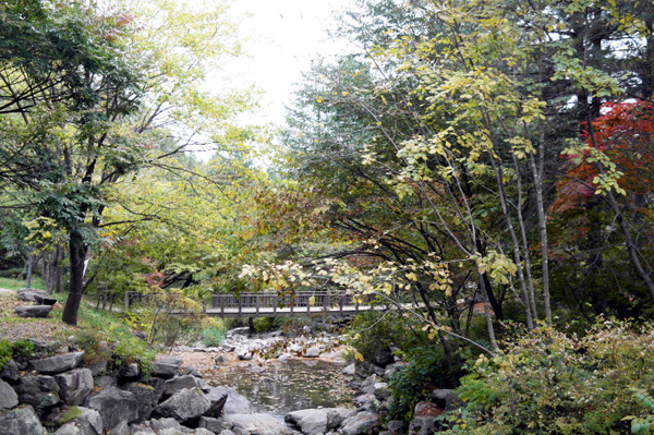 유명산자연휴양림