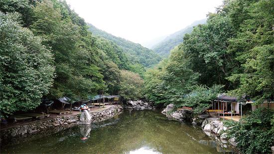 [경기북부 별 볼일 있는 야간관광 10선] 5. 가평 ‘유명산 자연휴양림’