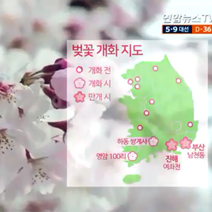 이번주 날씨, 20도까지 올라 벚꽃 활짝…전국 곳곳 잦은 봄비