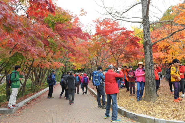 단풍명소 소요산, 모노레일 타고 즐긴다