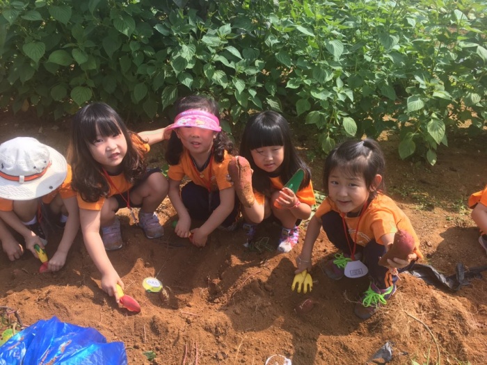 “텃밭 체험하며 올바른 식습관 키워요” 가평 어린이 급식관리센터 ‘흙이랑 놀자’ 큰 호응