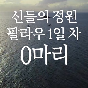 도시어부 팔라우 첫날, 0 마리로 낚시 종료