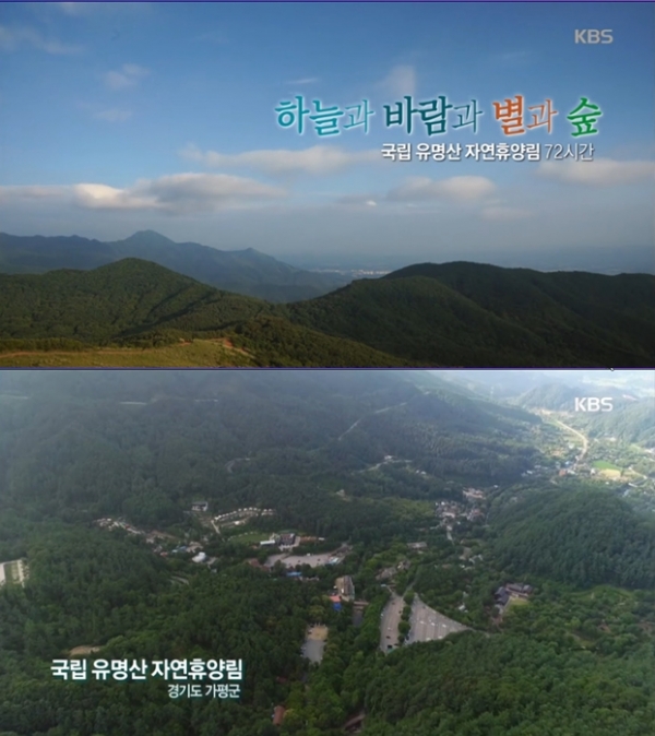 유명산 자연휴양림, 다양한 매력으로 이용객 전국 1위…예약방법도 다양