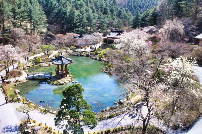 가평 아침고요수목원, 봄 기운 물씬 풍기는 야외 수목원으로 주목 받아
