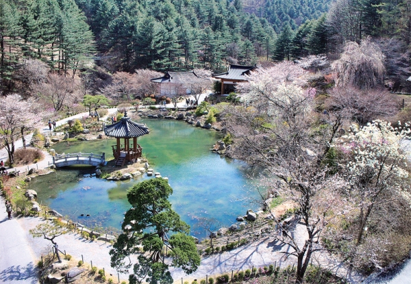 [아름다운 강산 산山 내川 들野 나들이] 가평 아침고요 수목원