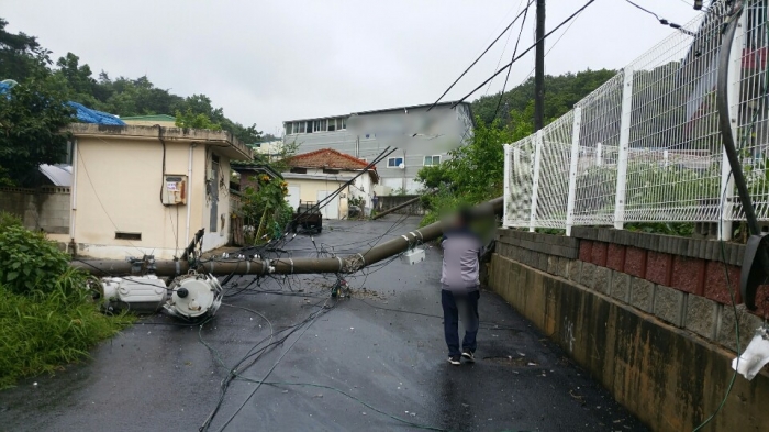 용인서 전주 3기 넘어지면서 1천700여 가구 순간 정전…한전 복구작업 중