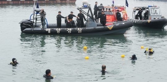 수중 정화활동