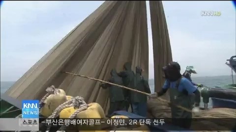 남해안 멸치떼 어디로 갔나