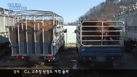 소 도축에 3박4일...농민 &apos;이중고&apos;!