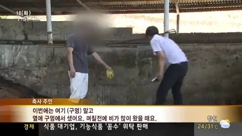분뇨 유출 심각, 축산 농가 일제 점검