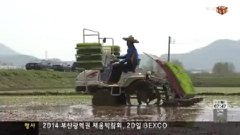 고성 생명환경 농법, 올해 선거가 고비