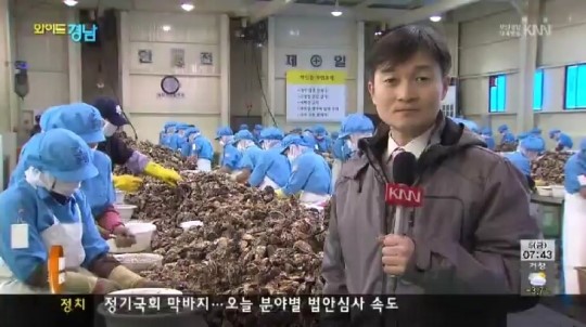 이번 주말, 굴 마지막 호황