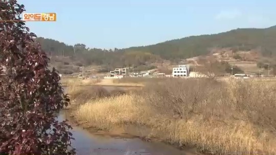 20년째 제자리...장목관광단지 과연 되나?
